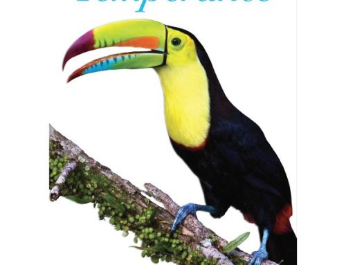 New Book Release for Anna Saal